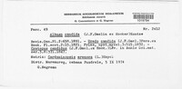 Albugo candida image